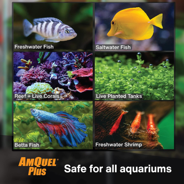 Acondicionador de Agua AMQUEL Plus de 473 Mililitros Kordon