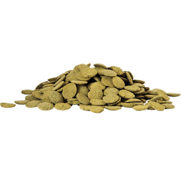 Alimento Para Peces De Fondo Algas 86 Gr Importado Aqueon 100106028