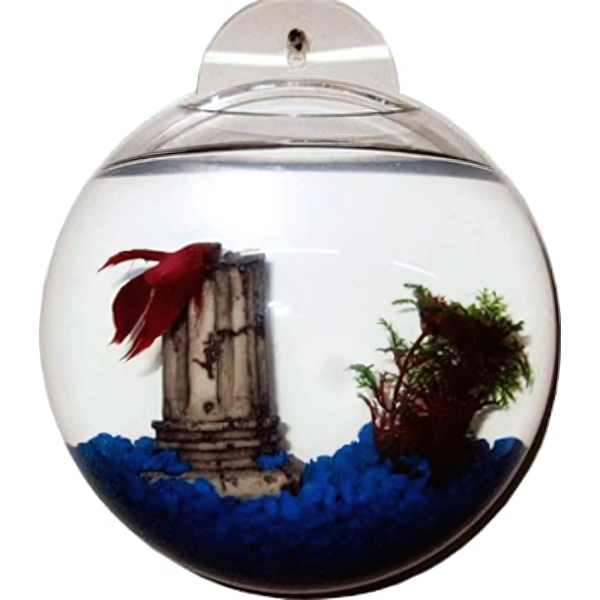 Bettera De Acrílico Para Pared Acuario para Betta Biopro Aft01