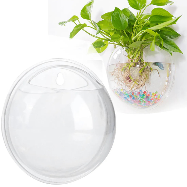 Bettera De Acrílico Para Pared Acuario para Betta Biopro Aft01
