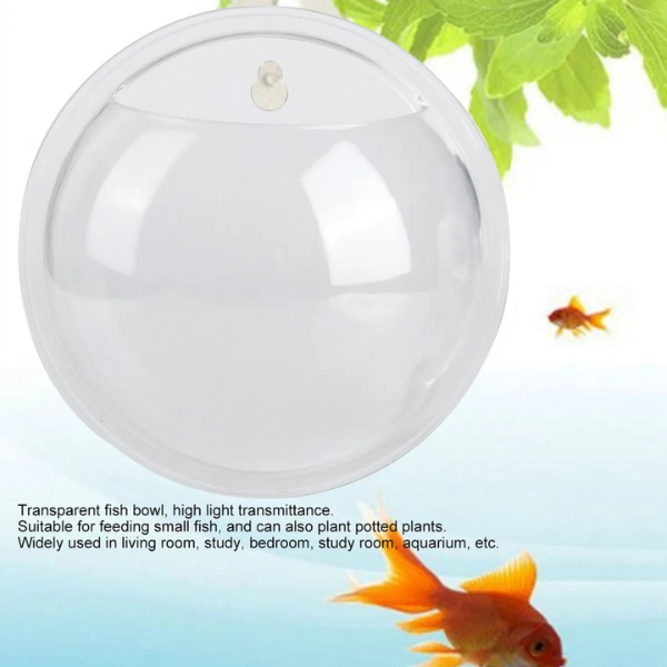 Bettera De Acrílico Para Pared Acuario para Betta Biopro Aft01