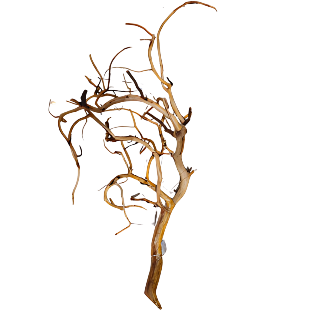 Raíz Tronco Curado para Acuarios Manzanita Branched Gd 60-70 Cm