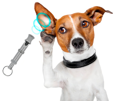 Silbato Entrenador Ultrasonico Para Adiestramiento De Perro