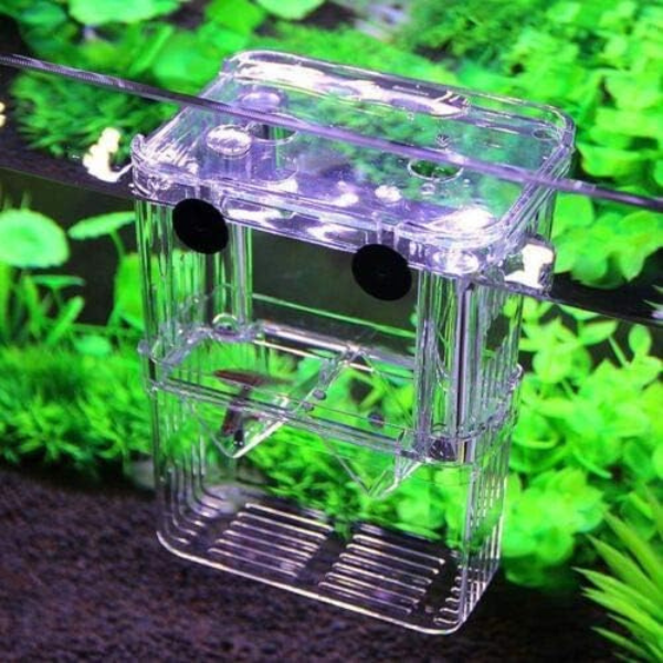 Maternidad Flotante para Peces Compacta BX-003
