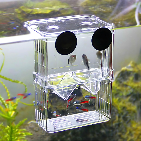 Maternidad Flotante para Peces Compacta BX-003