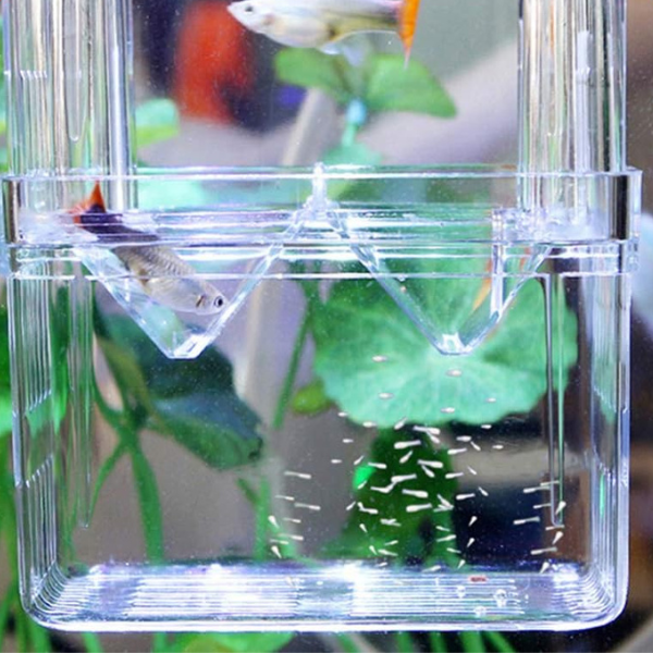 Maternidad Flotante para Peces Compacta BX-003