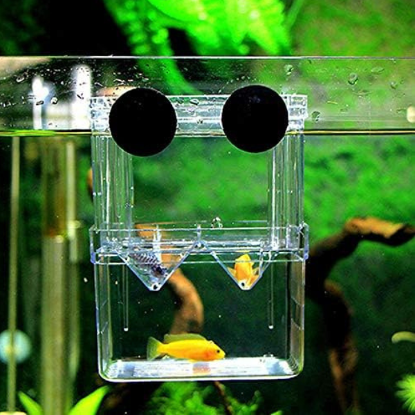 Maternidad Flotante para Peces Compacta BX-003
