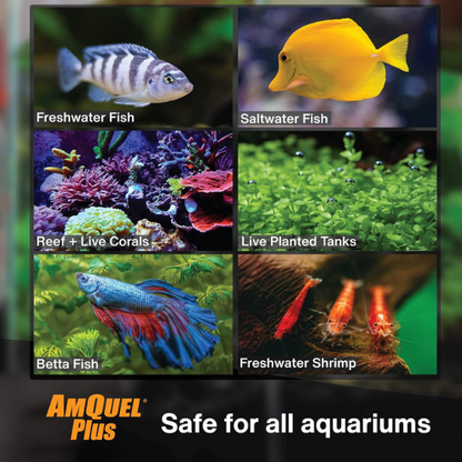 Acondicionador de Agua AMQUEL Plus de 473 Mililitros Kordon