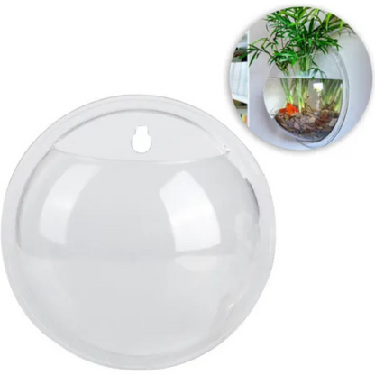 Bettera De Acrílico Para Pared Acuario para Betta Biopro Aft01