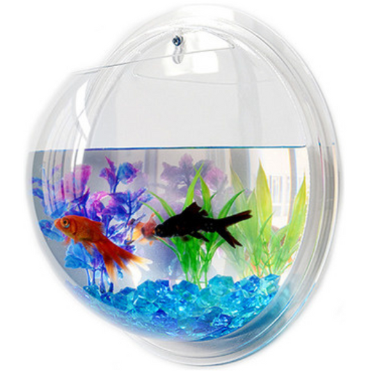 Bettera De Acrílico Para Pared Acuario para Betta Biopro Aft01