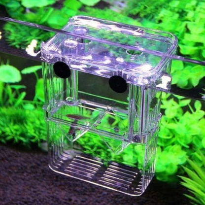 Maternidad Flotante para Peces Compacta BX-003